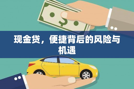 来安现金贷，便捷背后的风险与机遇