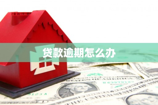 来安贷款逾期怎么办