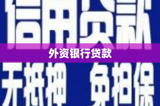 来安外资银行贷款