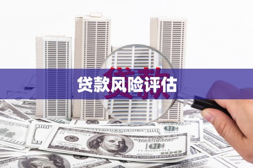 来安贷款风险评估