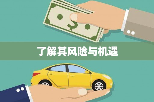 来安了解其风险与机遇