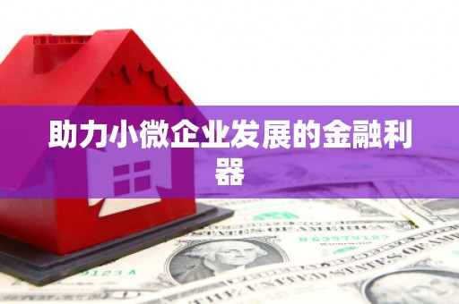来安助力小微企业发展的金融利器