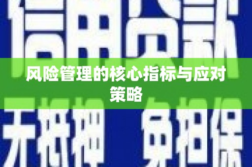 来安风险管理的核心指标与应对策略