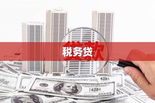 来安税务贷