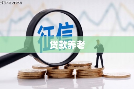 来安贷款养老