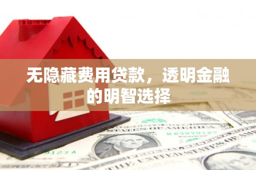 来安无隐藏费用贷款，透明金融的明智选择