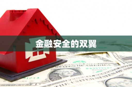 来安金融安全的双翼