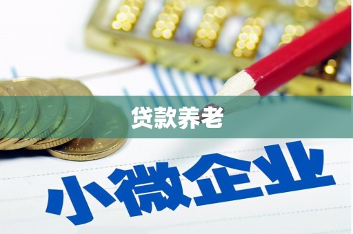 来安贷款养老