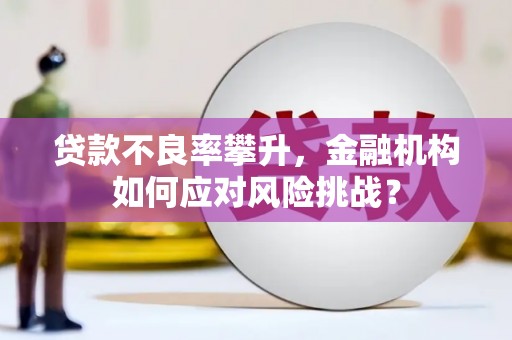 来安贷款不良率攀升，金融机构如何应对风险挑战？