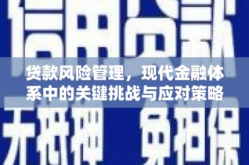 来安贷款风险管理，现代金融体系中的关键挑战与应对策略