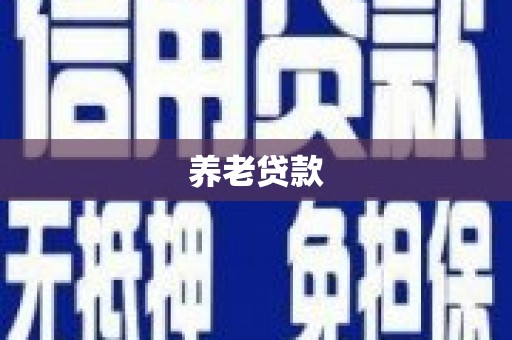 来安养老贷款