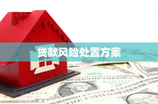 来安贷款风险处置方案