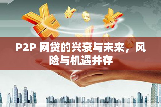 来安P2P 网贷的兴衰与未来，风险与机遇并存